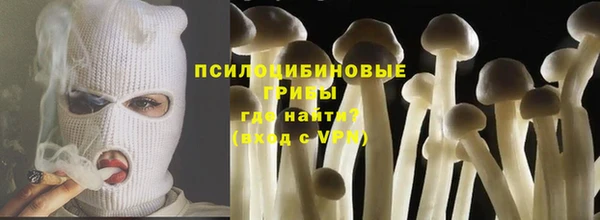 прущие грибы Ладушкин