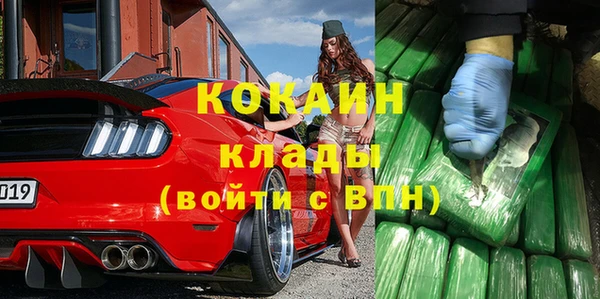 прущие грибы Ладушкин