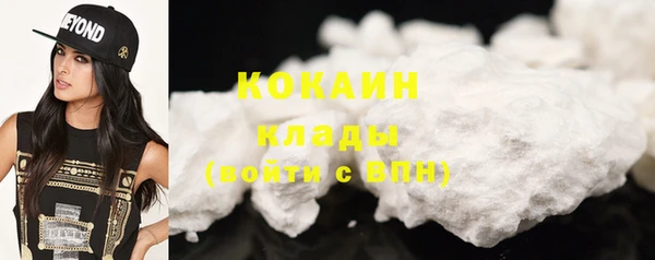прущие грибы Ладушкин