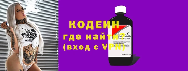 индика Лагань