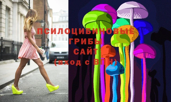первитин Лабытнанги
