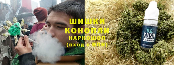 прущие грибы Ладушкин