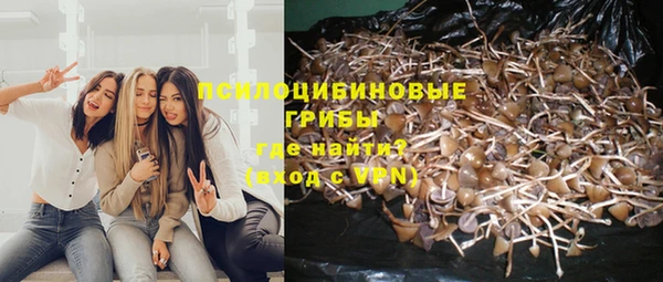 первитин Лабытнанги