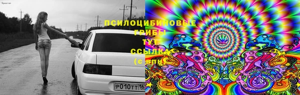 первитин Лабытнанги