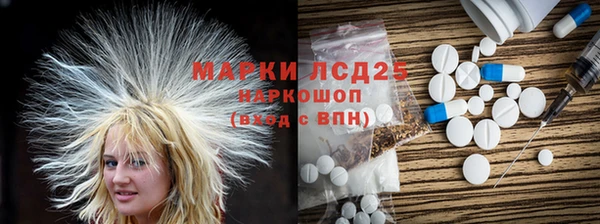 индика Лагань