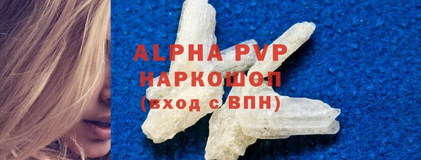 прущие грибы Ладушкин