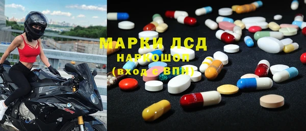 прущие грибы Ладушкин