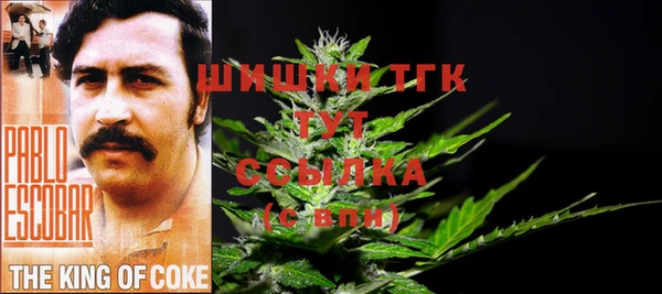 хмурый Олёкминск