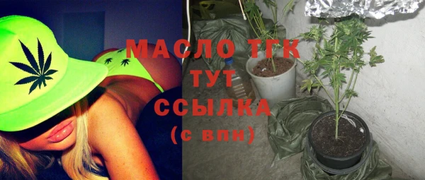 индика Лагань