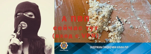 индика Лагань