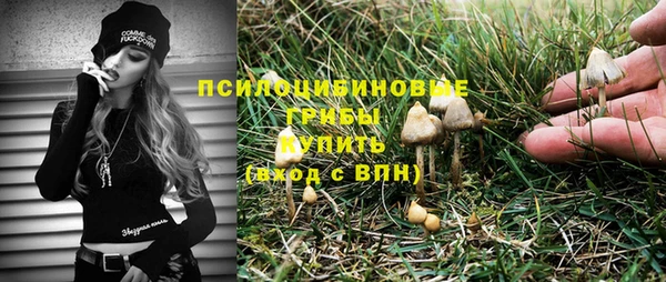 индика Лагань